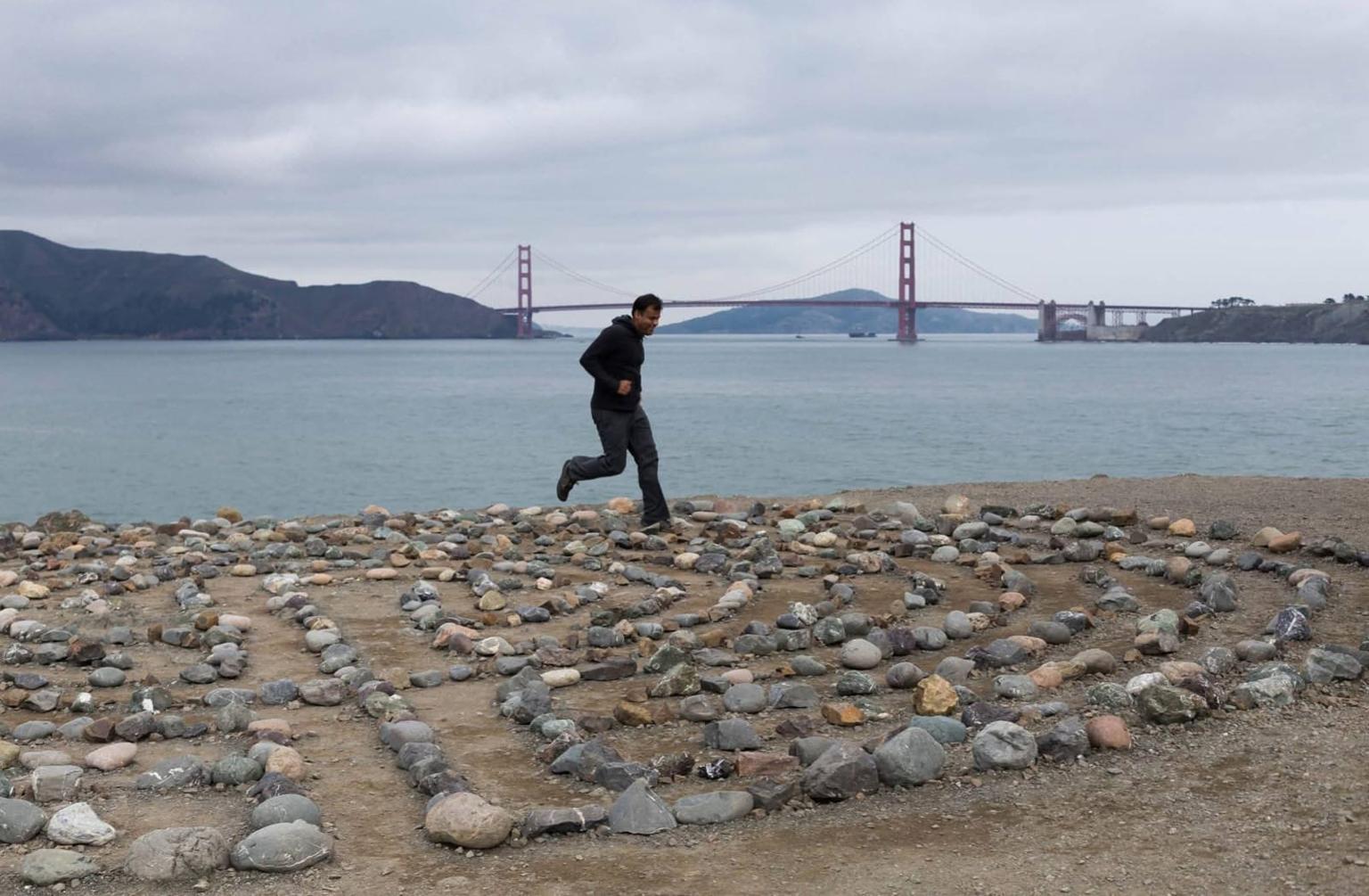 Serene Forest Background